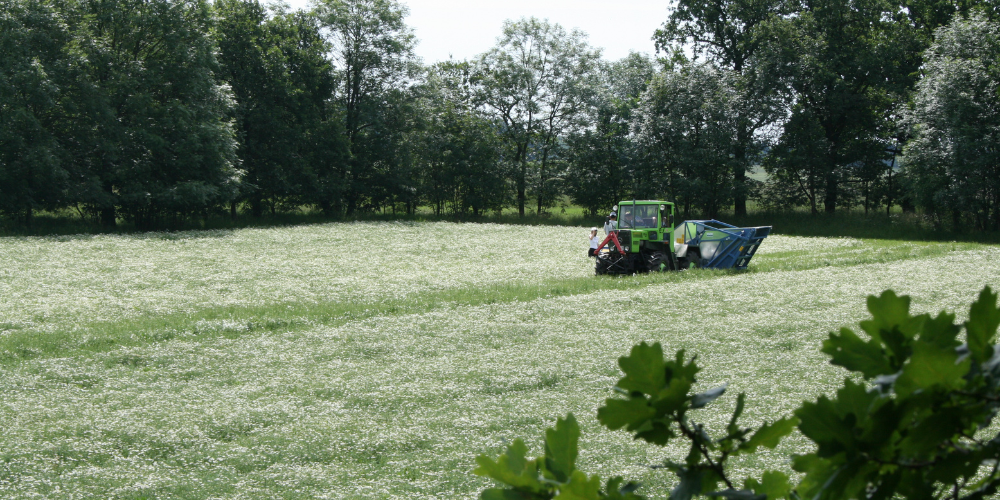 campus-forschung-3-landwirtschaft-bild